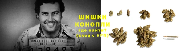 стафф Дмитровск